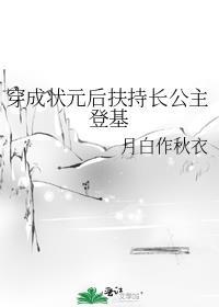 穿成状元的妻子