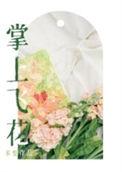 掌上飞燕