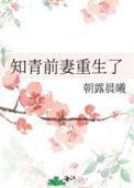 知青重生离婚前一天