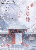 又逢她短剧全集免费播放