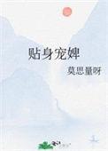 贴身宠婢青琐带全文免费阅读