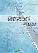 锦衣裁缝铺txt百度