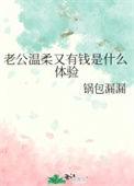 老公温柔又有钱是什么体验晋江
