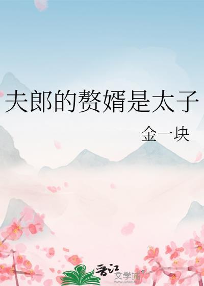 夫郎的赘婿是太子杨君君
