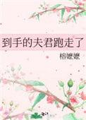 到手的夫君跑走了全文免费