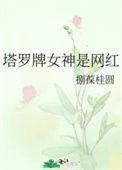 网红塔罗牌占卜