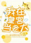 我在皇宫当老大晋江