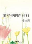 偷穿他的白衬衫讲了什么