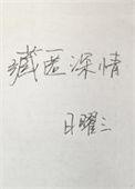 藏匿深情txt