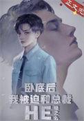 卧底总裁文