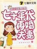 七十年代再婚夫妻温暖的宅