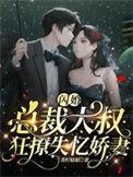 闪婚独宠大叔