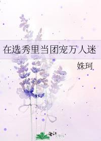 在选秀节目中当万人迷