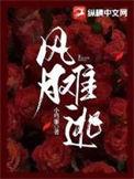 风月难逃小佛爷