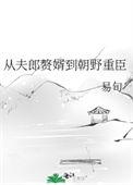 从夫郎赘婿到朝野重臣晋江