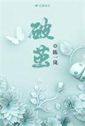 破茧2电视剧免费观看完整版