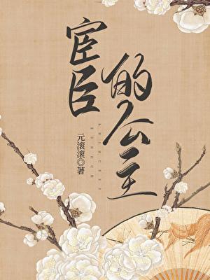宦官和公主的古言
