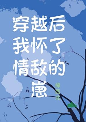 穿越后我怀了死对头的崽