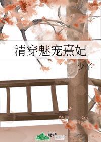 清穿魅宠熹妃 少辛