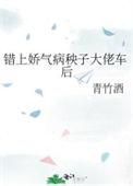 错上娇气病秧子大佬车后番外