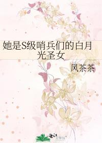 她是S级哨兵们的白月光圣女(风茶茶)