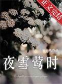 夜雪主人公