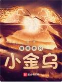 偷偷养只小金乌有几个女主