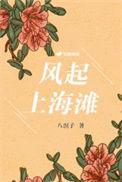 风起上海滩释小龙全集免费观看