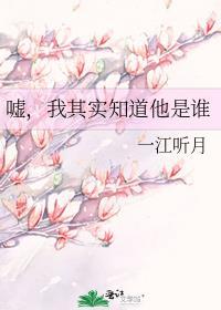 嘘我其实知道他是谁晋江