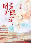明月应照我陆淮之结局是什么