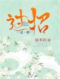 过招的意思