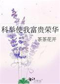 科举使我富贵荣华完结版免费阅读