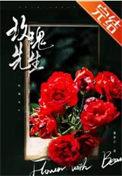 玫瑰先生by觅芽子讲的什么