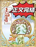 清穿三福晋穿越日常