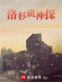 洛杉矶神探加料版主要内容