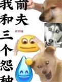 我和三个怨种前夫作者