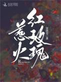 惹火大结局
