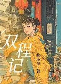 双程记叶小辛txt百度盘