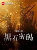 黑石密码书评