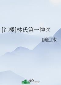红楼之林氏之子