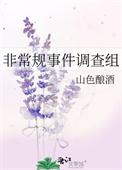 非常规事件调查组TXT