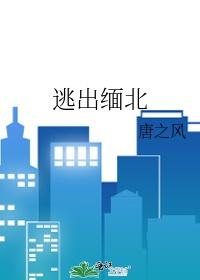 逃出缅北园区如何自救