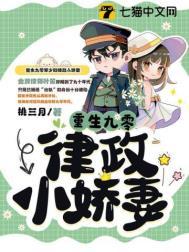 重生九零律政小娇妻全文阅读