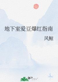 地下爱豆是什么