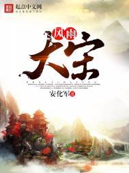 风雨大宋下架原因最新