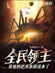 全民领主之最
