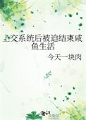 上交系统后被迫结束咸鱼生活今天一块肉