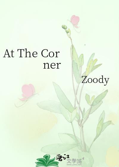 at the corner的中文翻译