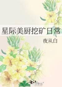 星际美厨挖矿日常TXT免费阅读全文