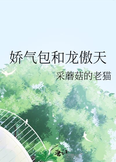 娇气包是啥意思
